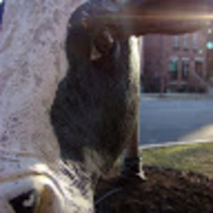 Meet your Posher, Sara